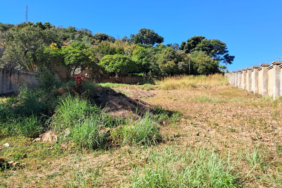 Prime Vacant Stand– Now Reduced! - Photo 3