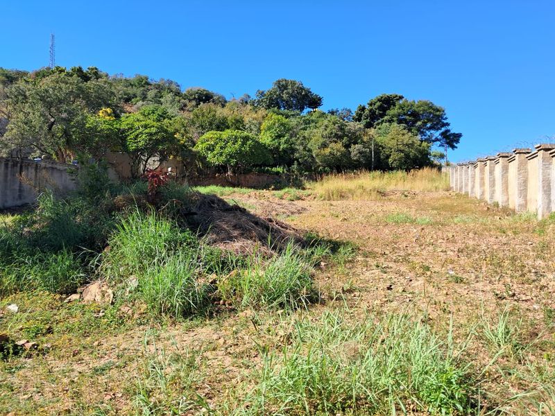Prime Vacant Stand– Now Reduced! - Photo 3