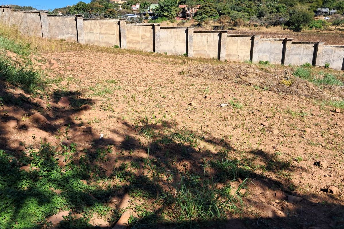 Prime Vacant Stand– Now Reduced! - Photo 2