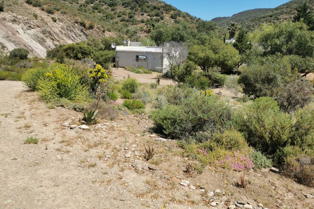 Your Hidden Haven in the Heart of the Mountains - Photo 2