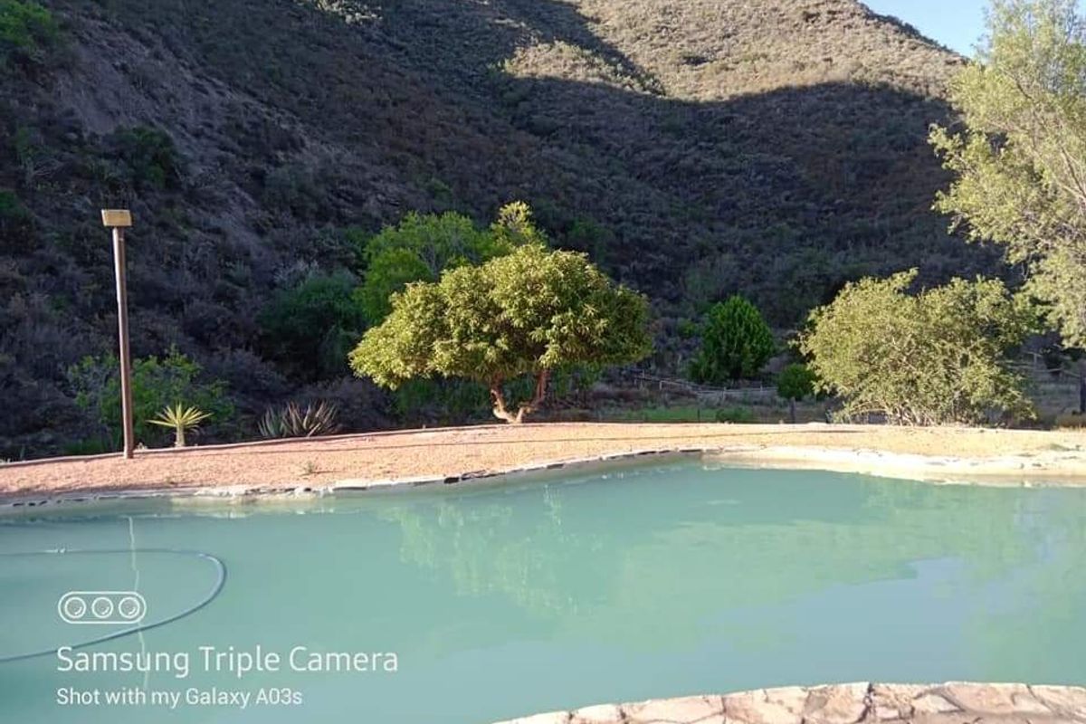Your Hidden Haven in the Heart of the Mountains - Photo 4