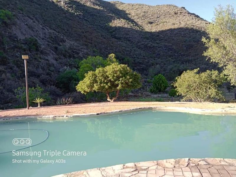Your Hidden Haven in the Heart of the Mountains - Photo 4