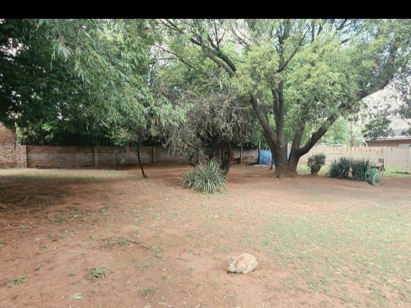 A spacious backyard featuring mature trees, perimeter brick and precast concrete walls, and significant areas of exposed soil requiring landscaping.