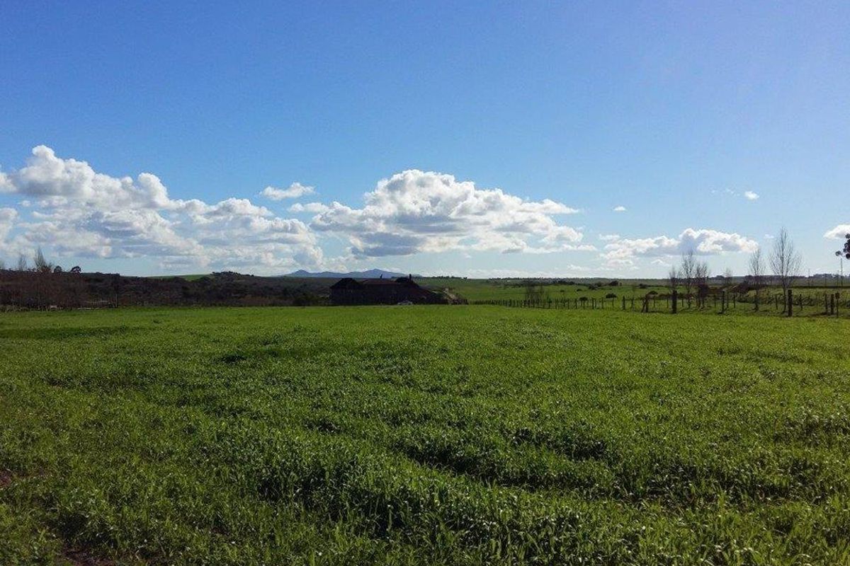 Expansive rural landscape view featuring open green fields and distant farm buildings under a clear blue sky.