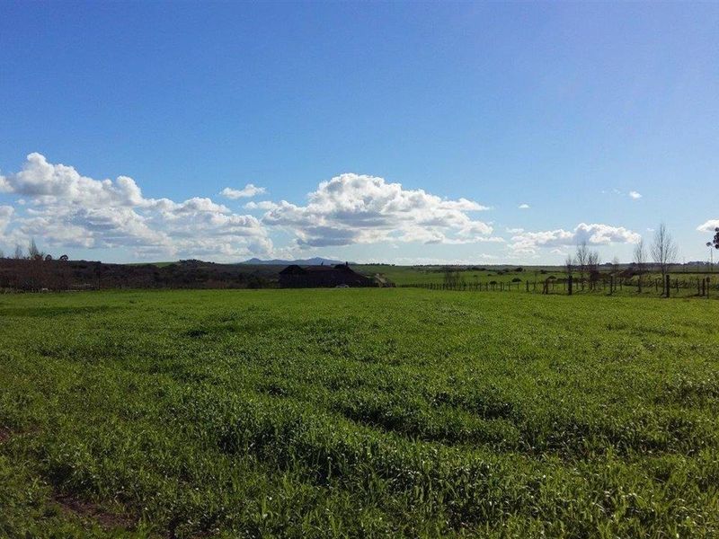 Expansive rural landscape view featuring open green fields and distant farm buildings under a clear blue sky.