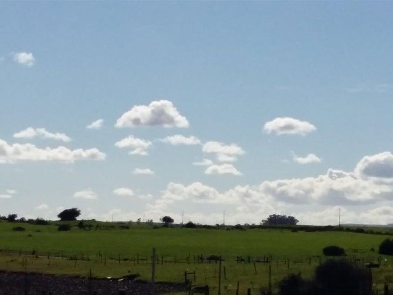 A wide-angle view of the open farm landscape featuring green pastures and wire fencing under a clear blue sky.