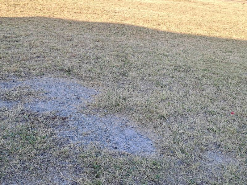 Great opportunity to  build your dream mansion - Photo 5