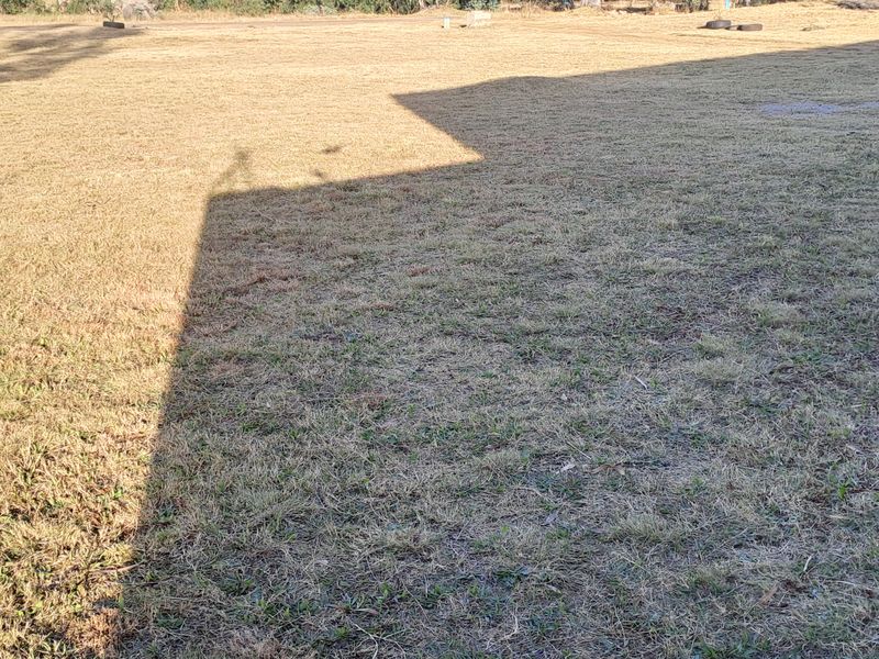 Great opportunity to  build your dream mansion - Photo 10