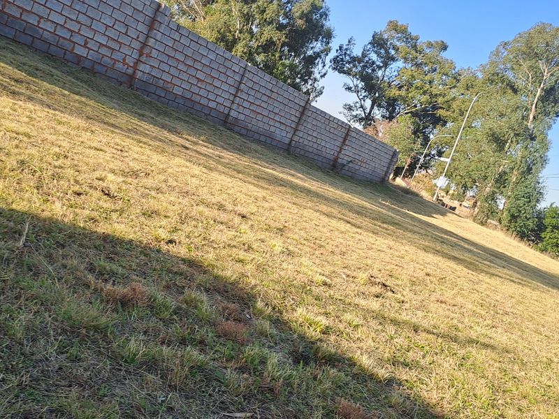 Great opportunity to  build your dream mansion - Photo 6