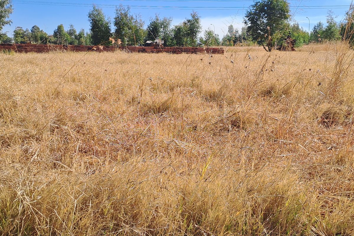 Great opportunity to  build your dream mansion - Photo 2