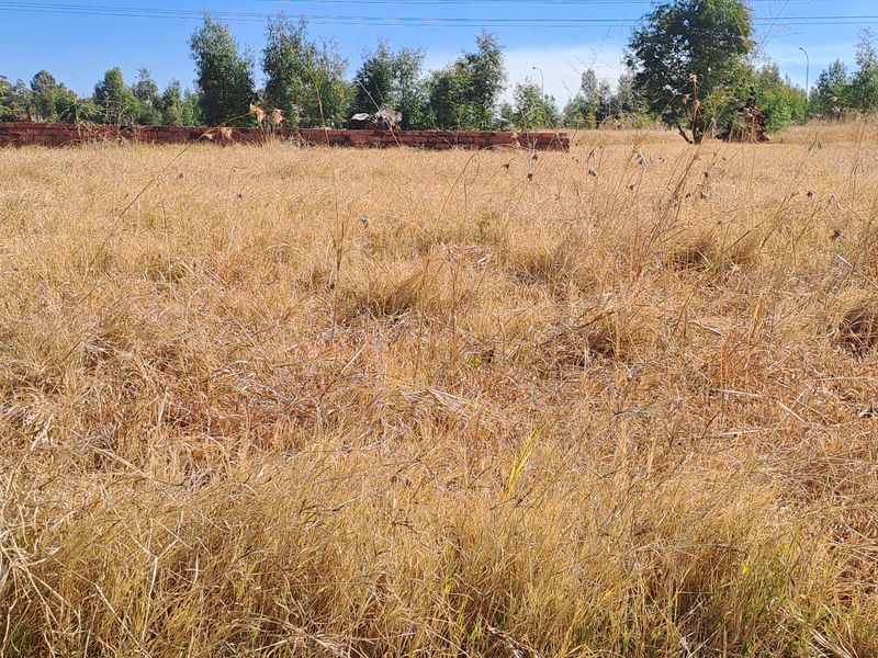 Great opportunity to  build your dream mansion - Photo 2