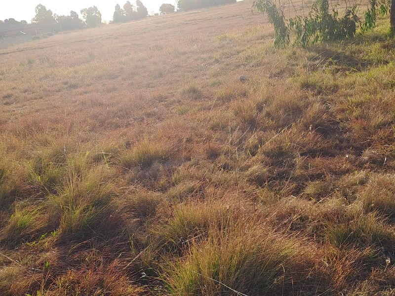 Great opportunity to  build your dream mansion - Photo 7