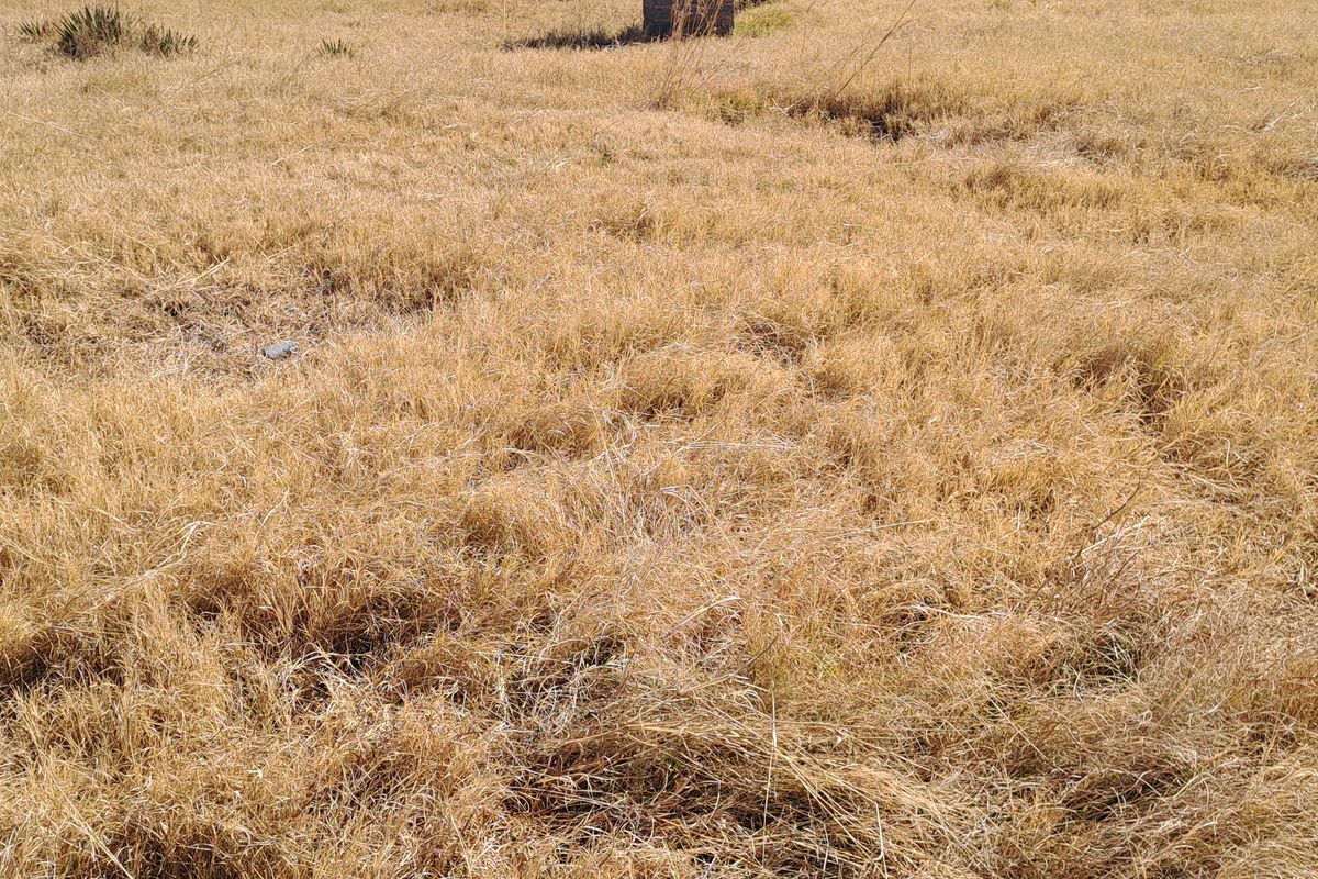 Great opportunity to  build your dream mansion - Photo 3