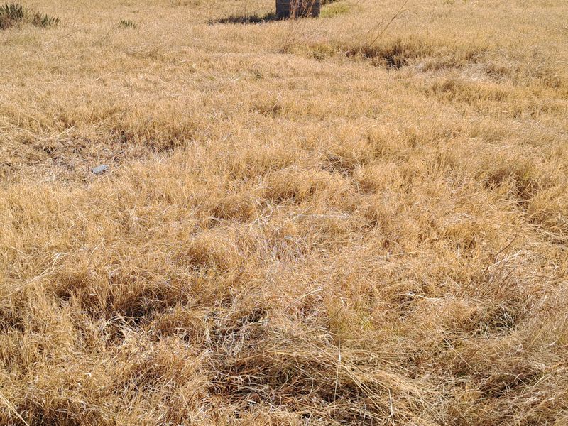 Great opportunity to  build your dream mansion - Photo 3