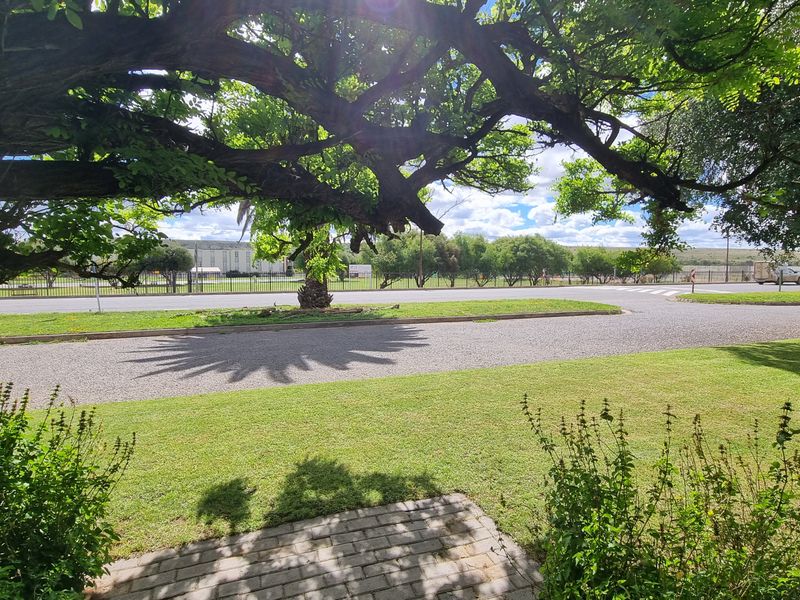 A view from the property looking out towards the street, featuring a well-maintained lawn, paved driveway, and mature trees providing shade.
