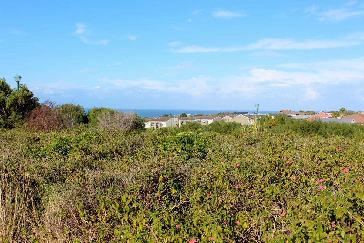 Level Plot in a Quiet Cul-de-Sac in Emerald Heights, Port Alfred - Photo 2