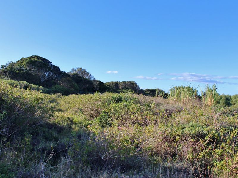 Level Plot in a Quiet Cul-de-Sac in Emerald Heights, Port Alfred - Photo 9