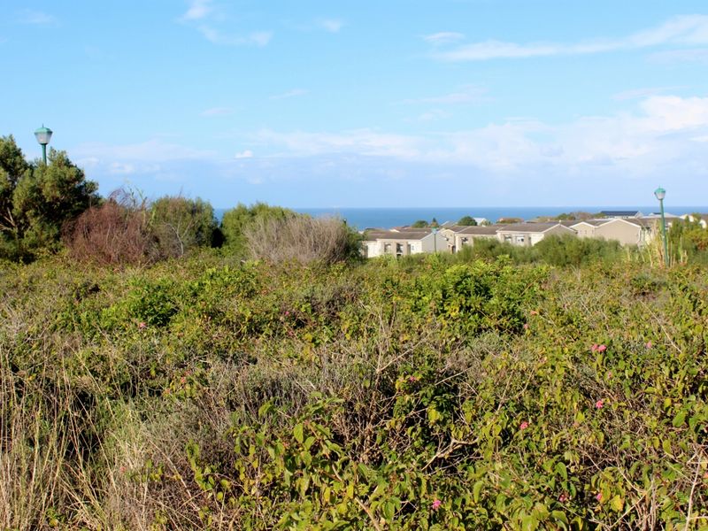 Level Plot in a Quiet Cul-de-Sac in Emerald Heights, Port Alfred - Photo 10