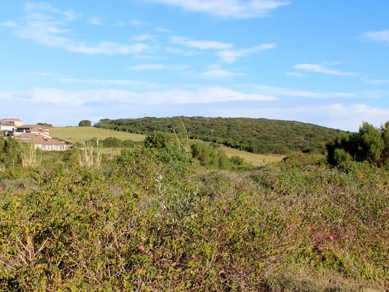 Level Plot in a Quiet Cul-de-Sac in Emerald Heights, Port Alfred - Photo 7