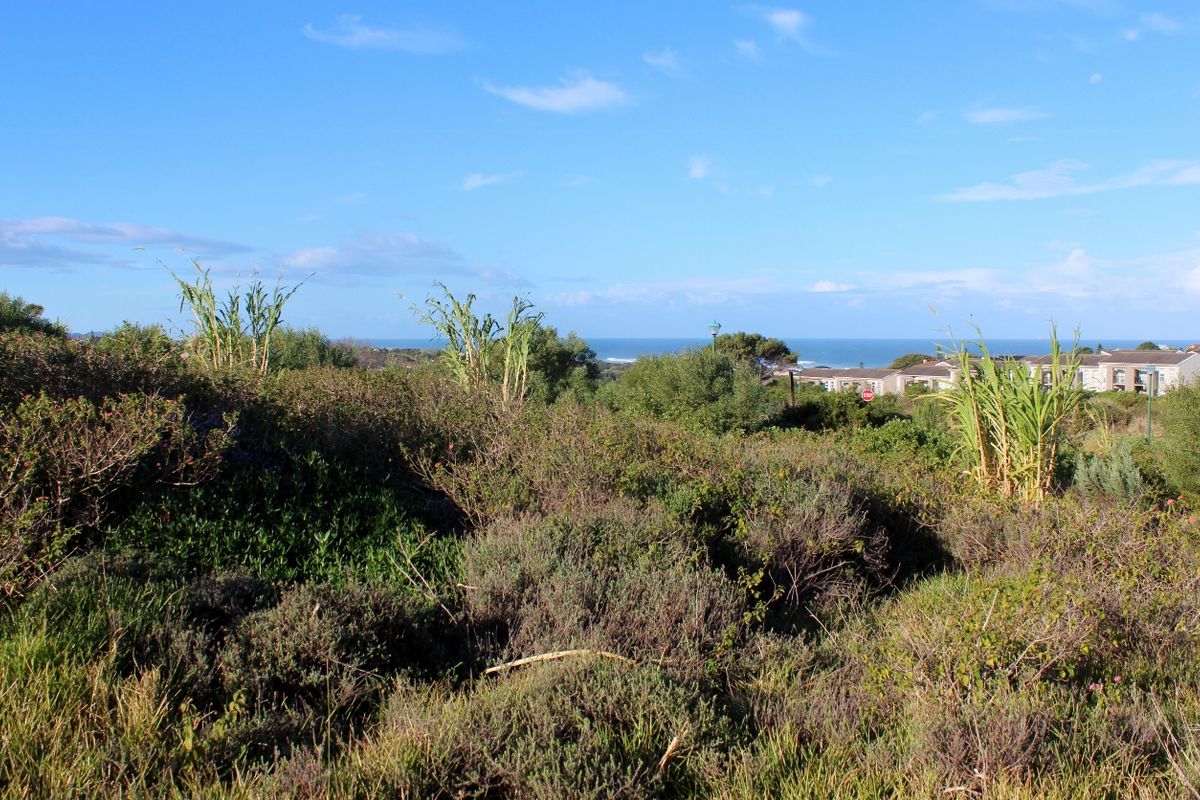Corner Plot with Sea and Country Views in Emerald View, Port Alfred - Photo 5