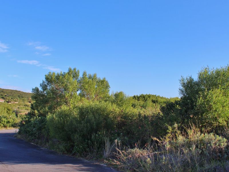 Corner Plot with Sea and Country Views in Emerald View, Port Alfred - Photo 10