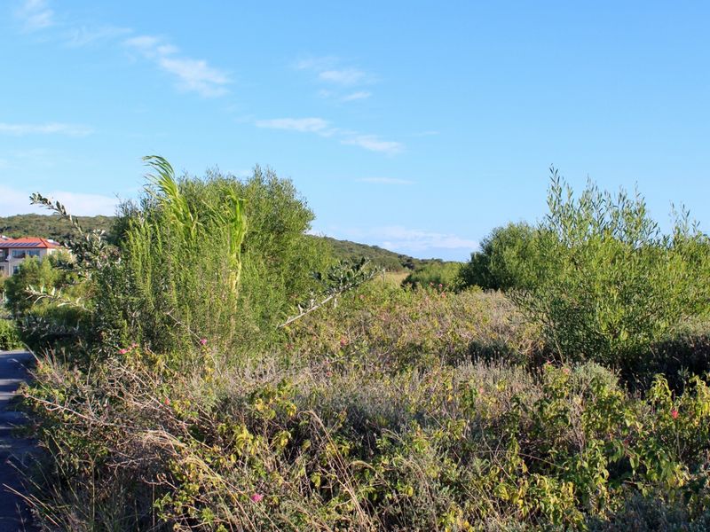 Corner Plot with Sea and Country Views in Emerald View, Port Alfred - Photo 7