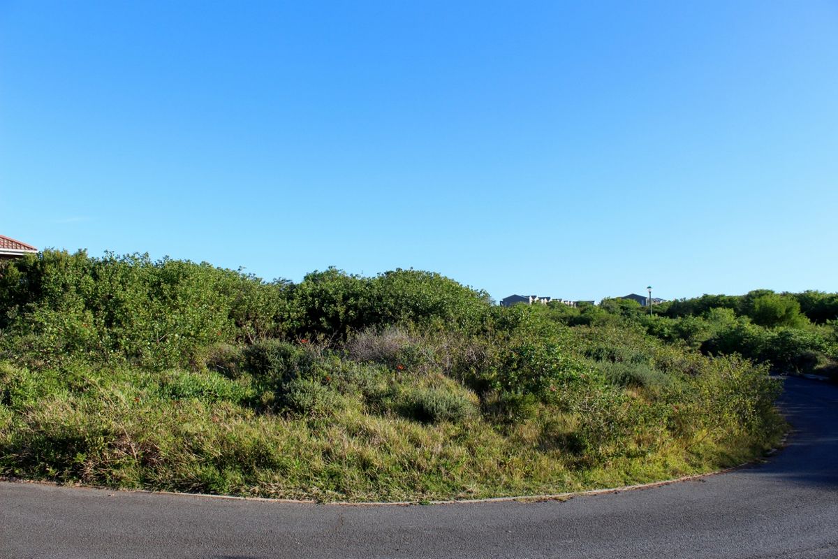 Plot with a North Facing Aspect in Port Alfred - Photo 3