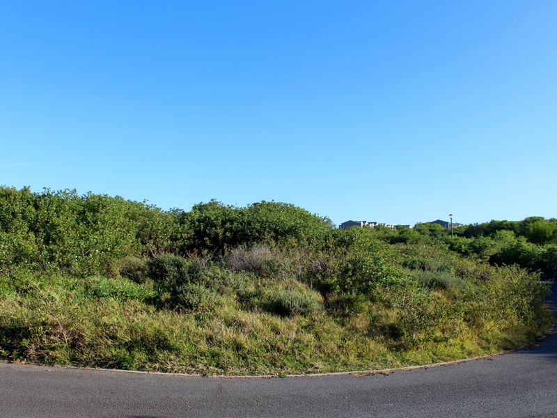 Plot with a North Facing Aspect in Port Alfred - Photo 3