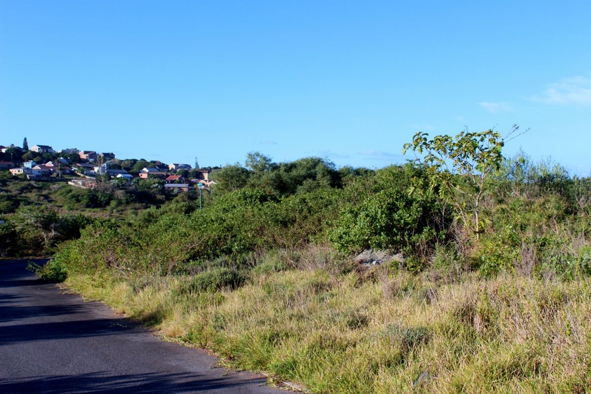 Plot with a North Facing Aspect in Port Alfred - Photo 5