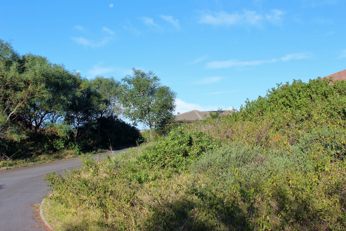 Plot with a North Facing Aspect in Port Alfred - Photo 4