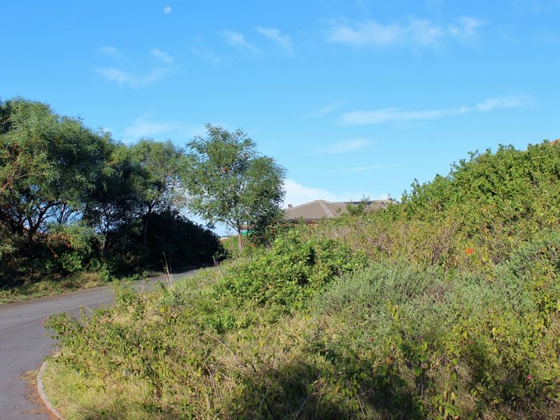 Plot with a North Facing Aspect in Port Alfred - Photo 4