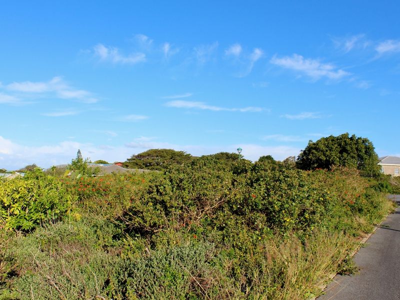 Expansive Plot with Sea Views in a Popular Suburb in Port Alfred - Photo 9
