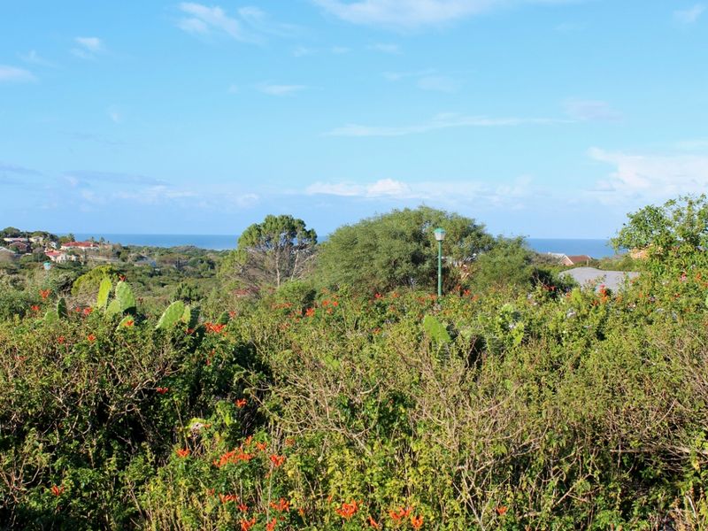 Expansive Plot with Sea Views in a Popular Suburb in Port Alfred - Photo 8
