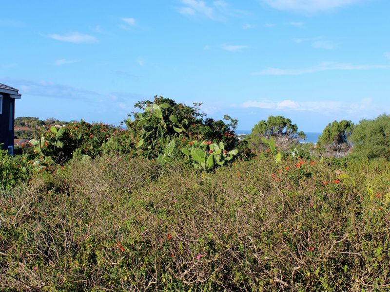 Expansive Plot with Sea Views in a Popular Suburb in Port Alfred - Photo 7