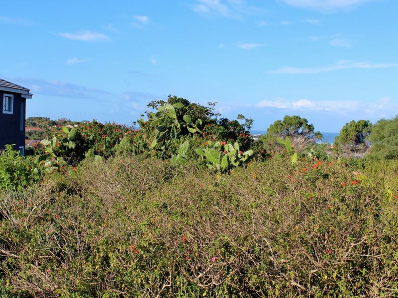 Expansive Plot with Sea Views in a Popular Suburb in Port Alfred - Photo 6