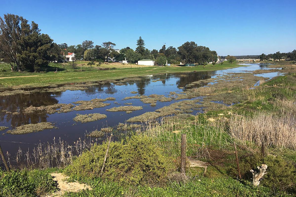 Large 2,791 m2 Stand for Sale in Hopefield – Endless Potential! - Photo 4