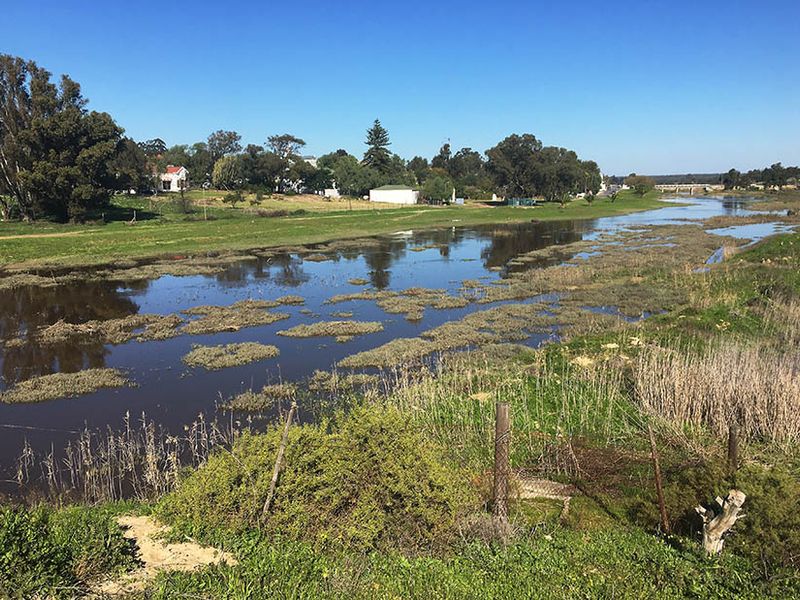 Large 2,791 m2 Stand for Sale in Hopefield – Endless Potential! - Photo 4