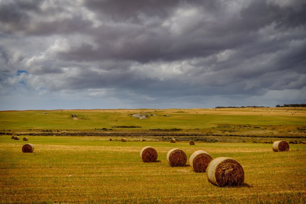 Large 2,791 m2 Stand for Sale in Hopefield – Endless Potential! - Photo 3