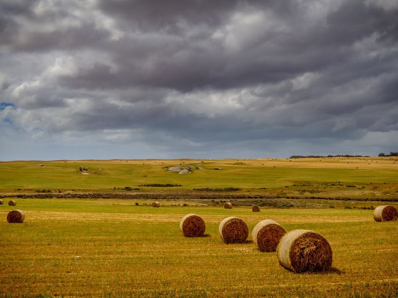 Large 2,791 m2 Stand for Sale in Hopefield – Endless Potential! - Photo 3