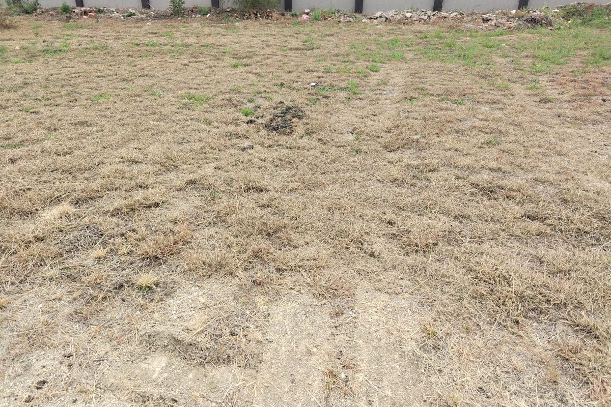 A view of a vacant residential plot featuring dry grass and a perimeter boundary wall.