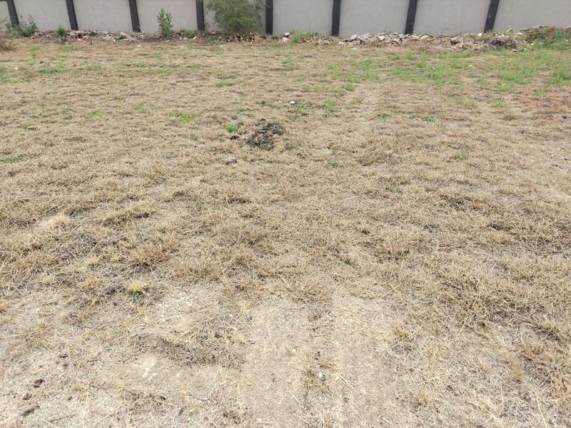 A view of a vacant residential plot featuring dry grass and a perimeter boundary wall.