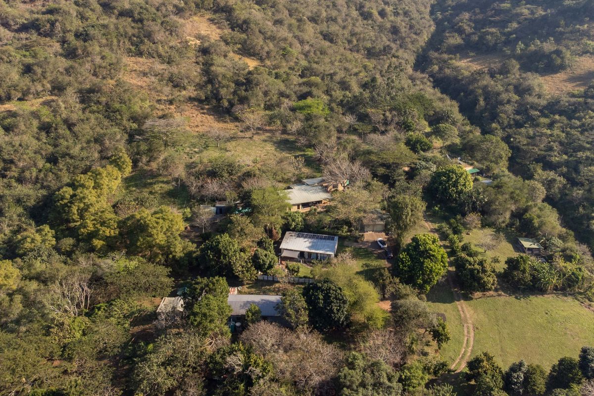 An Oasis with Views and 3 bed Cottage - Photo 5