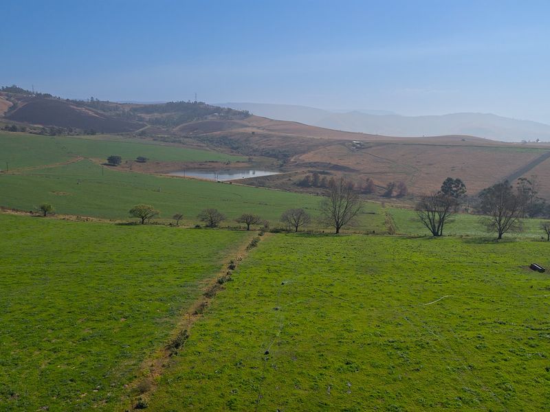 Dairy Milking / Heifer Rearing Farm with Pecan Nut Orchard - Photo 4