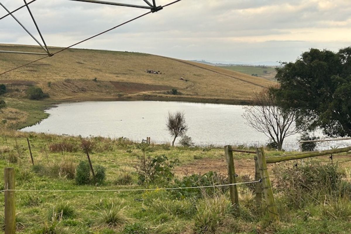Dairy Milking / Heifer Rearing Farm with Pecan Nut Orchard - Photo 5