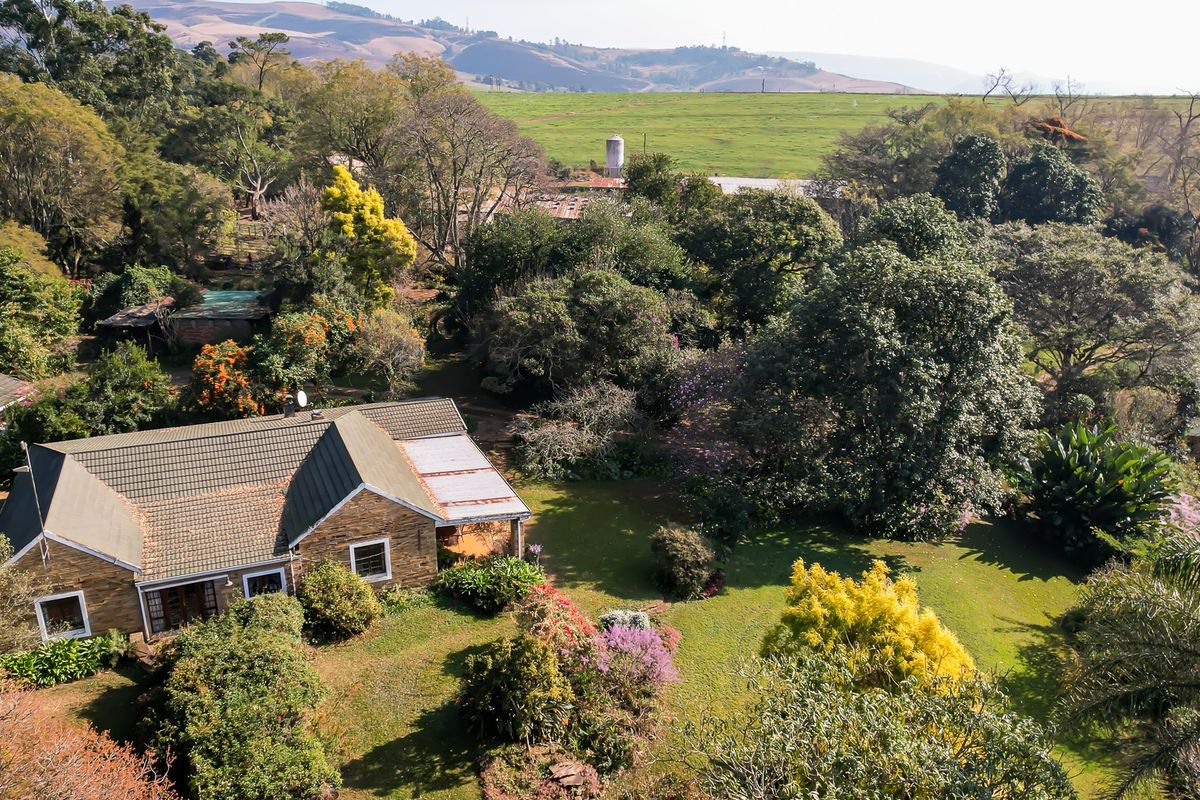 Dairy Milking / Heifer Rearing Farm with Pecan Nut Orchard - Photo 2