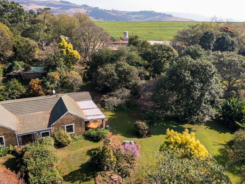 Dairy Milking / Heifer Rearing Farm with Pecan Nut Orchard - Photo 2