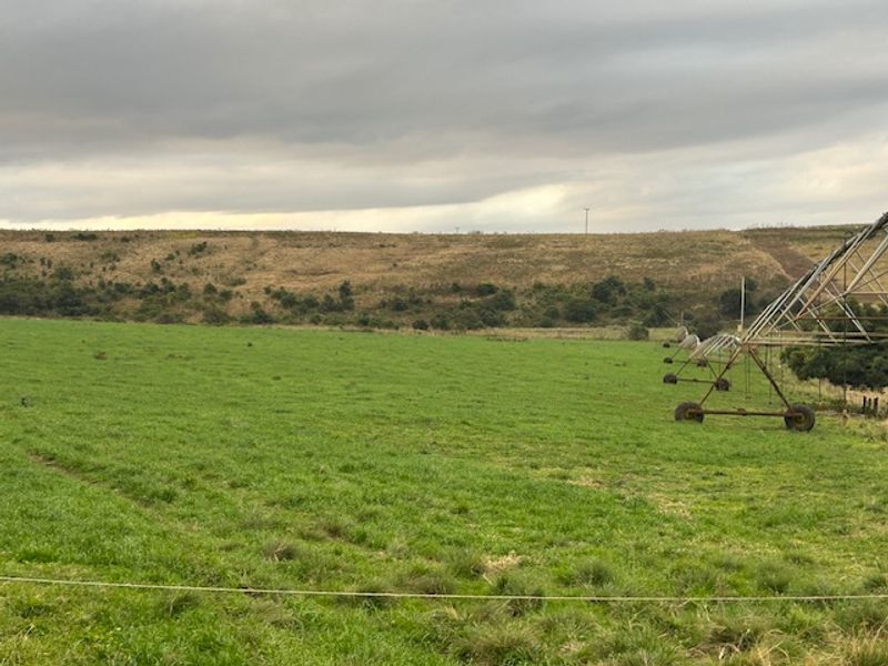 Dairy Milking / Heifer Rearing Farm with Pecan Nut Orchard - Photo 8