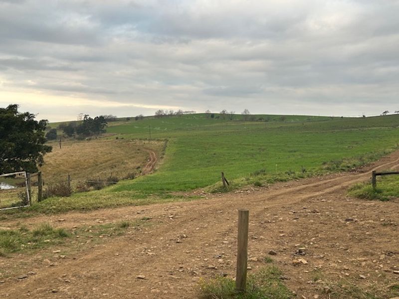 Dairy Milking / Heifer Rearing Farm with Pecan Nut Orchard - Photo 6