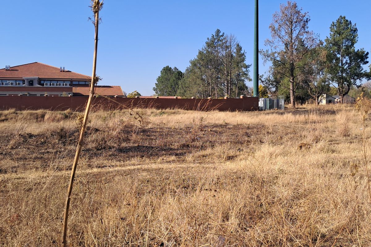 Empty Land - Photo 2