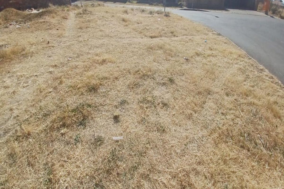 A vacant residential plot of land featuring dry grass, situated adjacent to a paved street in a developed neighborhood.